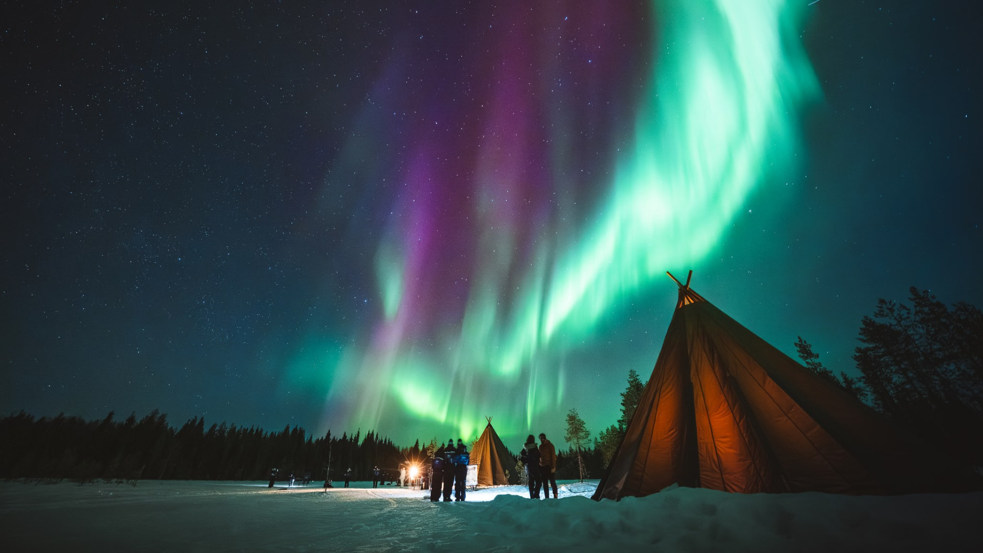 Guests gathered by lavvu tents at Apukka under a vivid green and violet aurora