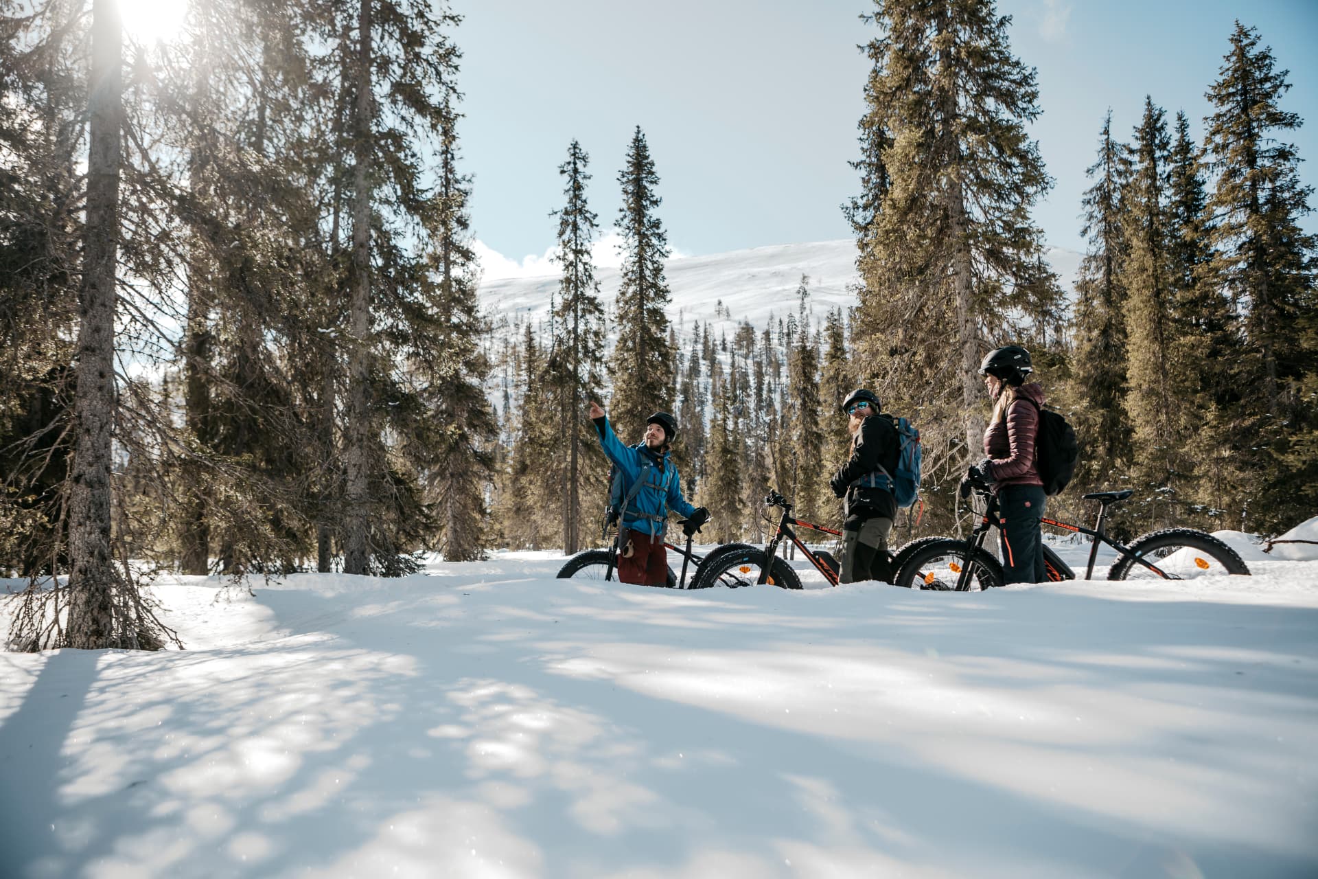 Guide briefing two fatbike riders in a sunlit snowy spruce forest below a fell
