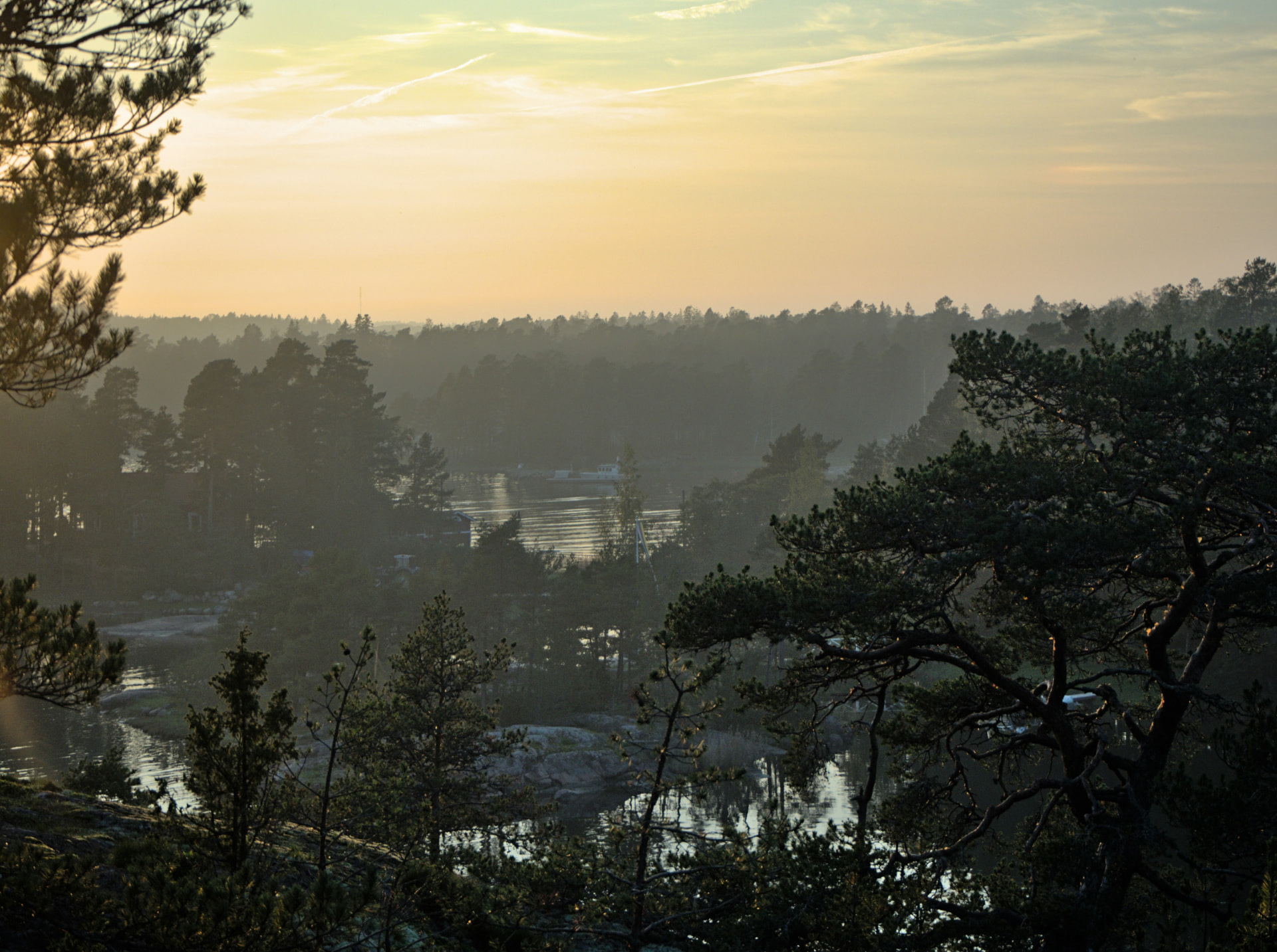 Pine-framed view over a still archipelago inlet at golden midnight-sun dusk