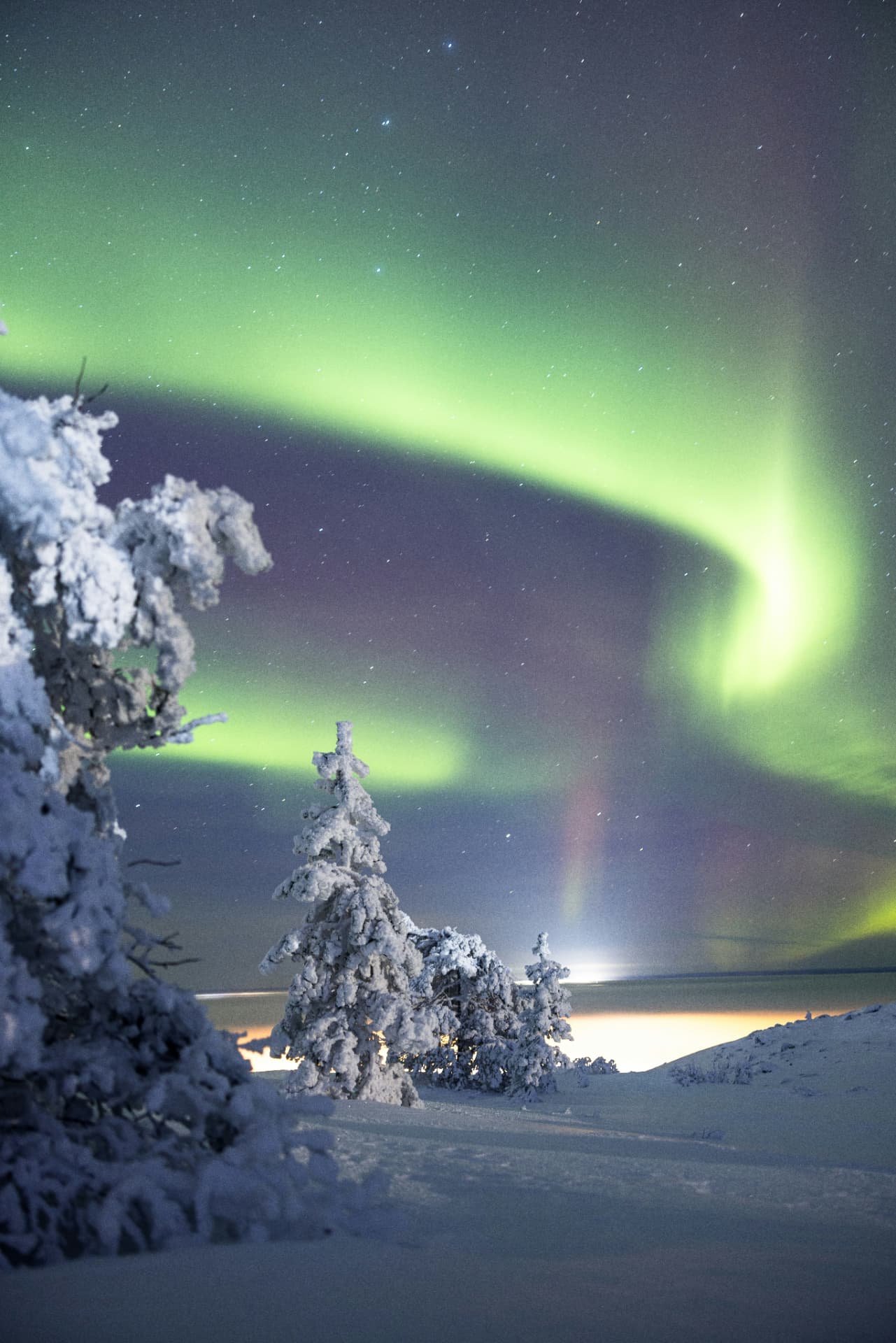 A green aurora arc sweeping over snow-covered pines on a Lapland fell