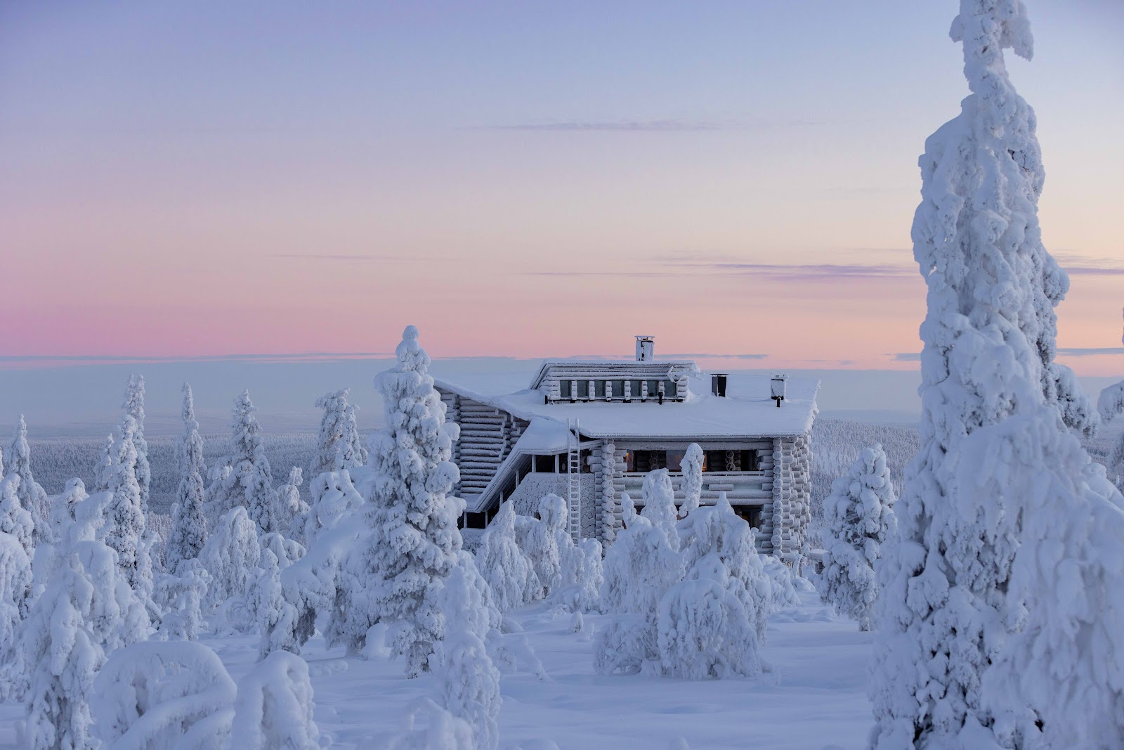 Snow-covered log lodge among frozen spruces on a Lapland fell at dusk