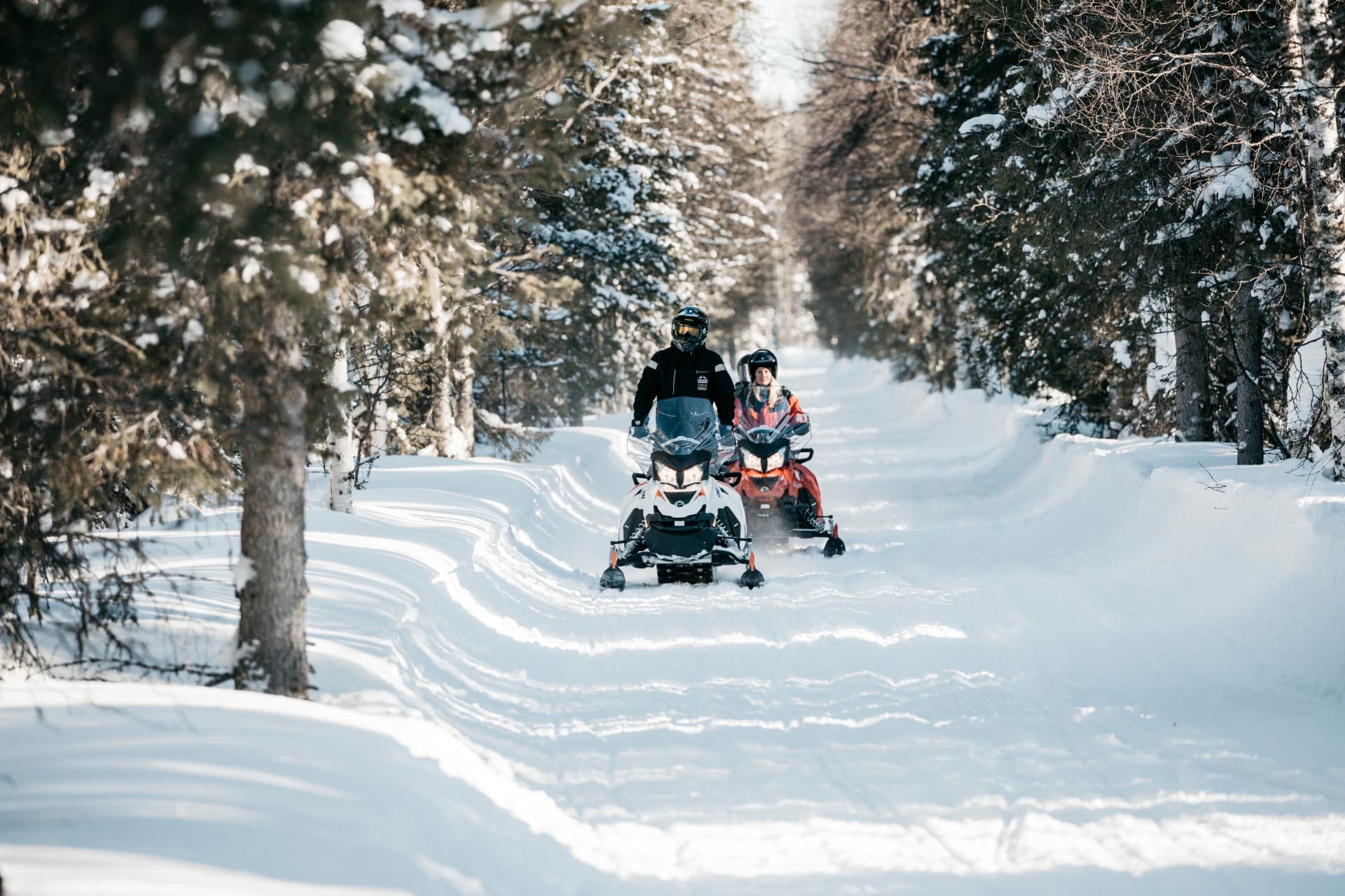 Two snowmobiles riding a groomed forest trail through deep snow