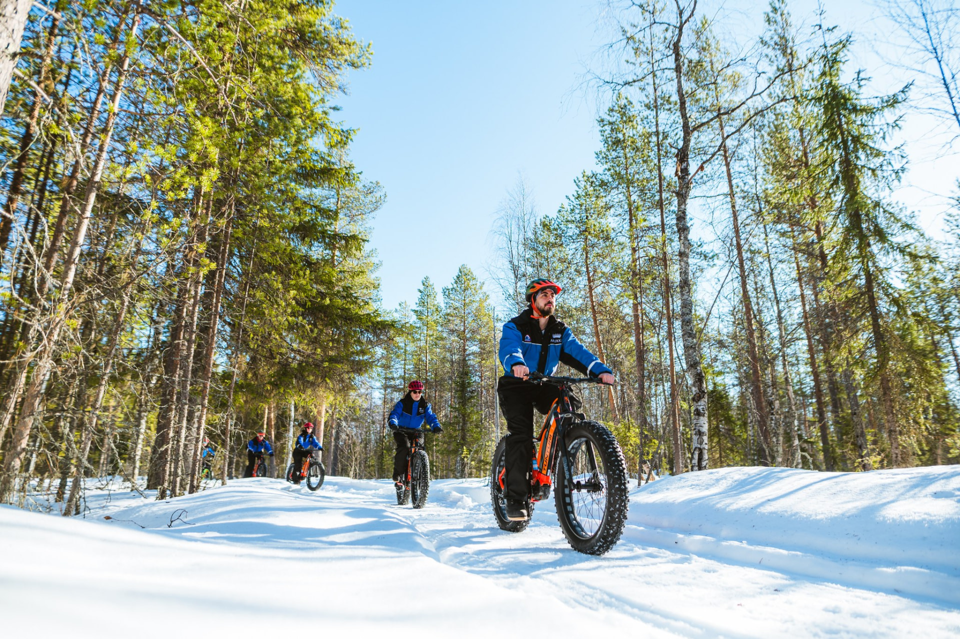 Guided e-fatbike group riding a packed snow trail through sunlit pine forest