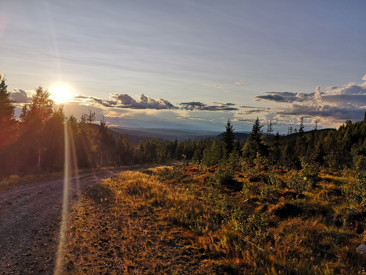 Low midnight sun over a fell trail and forested hills in Lapland